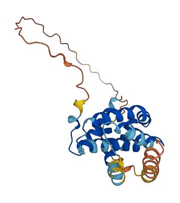 BCL2L1 3D structure
