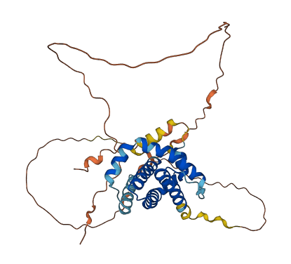 MCL1 3D structure