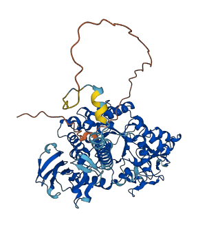 SLC3A1 3D structure