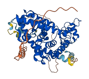 PPARA 3D structure