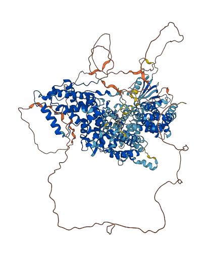 SOS2 3D structure