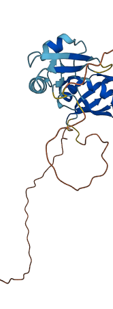 SRSF1 3D structure
