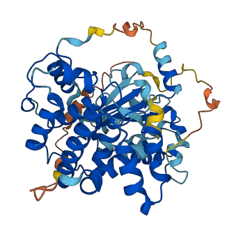 ARHGAP1 3D structure