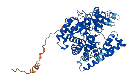 CYP24A1 3D structure