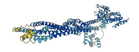 ACTN3 3D structure