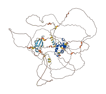 FOXM1 3D structure