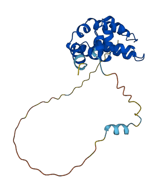 RGS1 3D structure