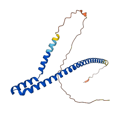 TLE5 3D structure