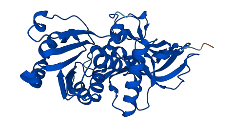 CRYZ 3D structure