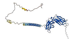 IL10RB 3D structure