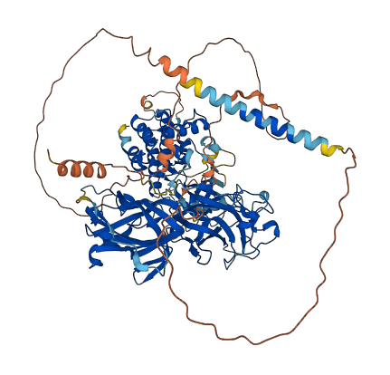 DDR1 3D structure