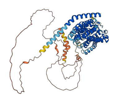 SLC20A2 3D structure