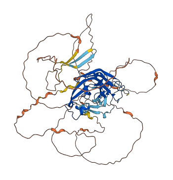 LOXL1 3D structure