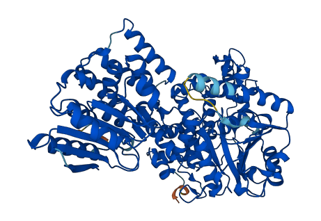 EHHADH 3D structure