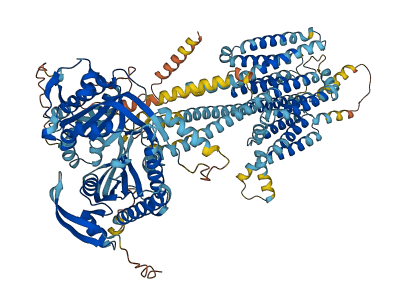 ADCY2 3D structure