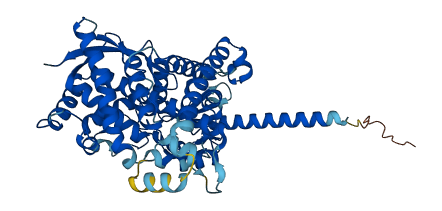CYP4F3 3D structure