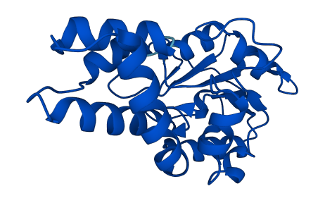 PUDP 3D structure