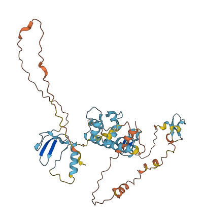 SPOCK1 3D structure
