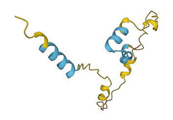 SPAG11B 3D structure