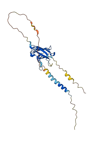 CD300C 3D structure