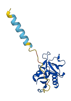 Reg2 3D structure