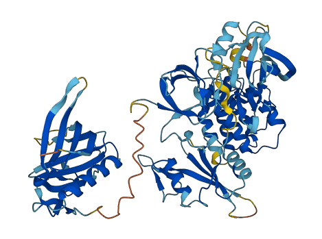 ITK 3D structure
