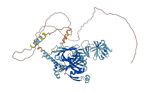 SSRP1 3D structure