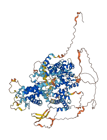 RBL2 3D structure