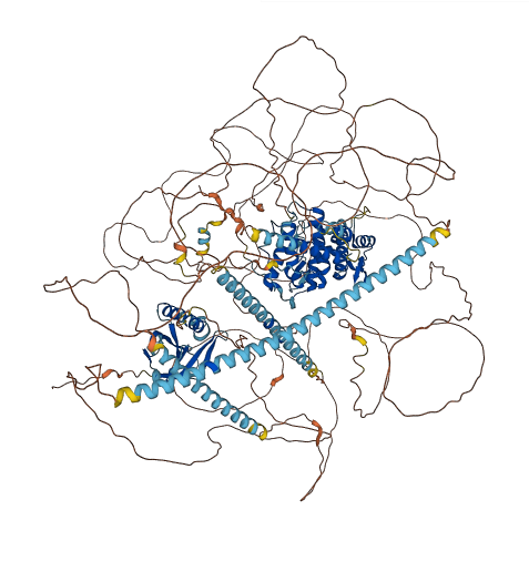 CAMSAP2 3D structure