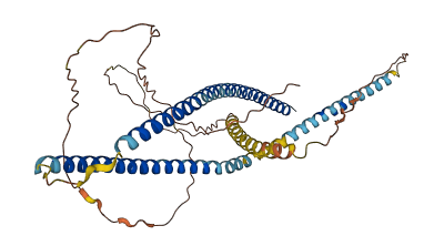 GOLGA8F 3D structure