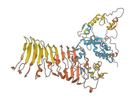 ZNF844 3D structure