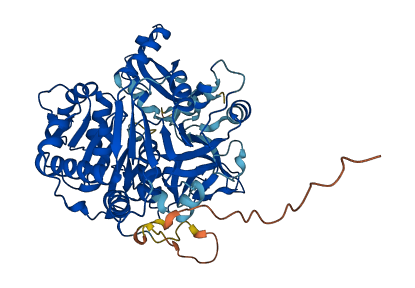 ACSM1 3D structure