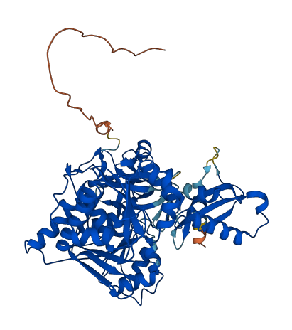 ACSM2A 3D structure