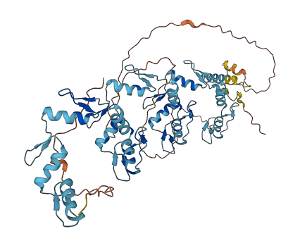 ZNF543 3D structure
