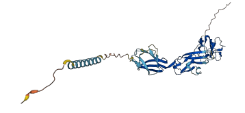 SIGLEC14 3D structure