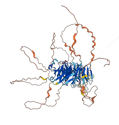 DMWD 3D structure