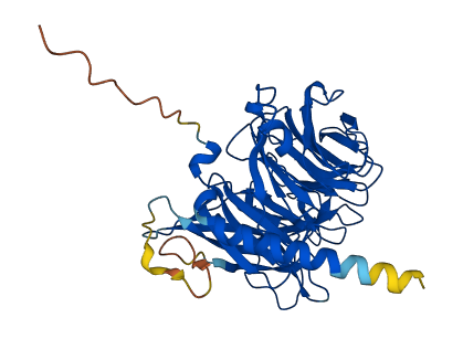 RBBP4 3D structure