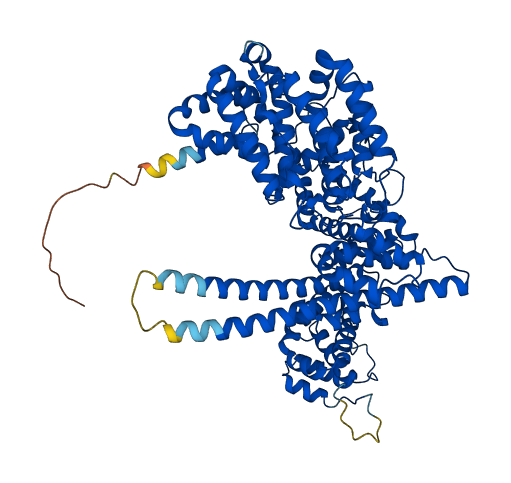 NCBP1 3D structure