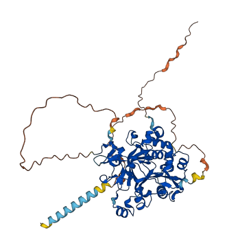 MGAT3 3D structure