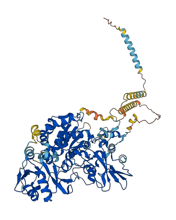 MGAT5 3D structure