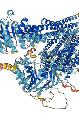 ABCC8 3D structure