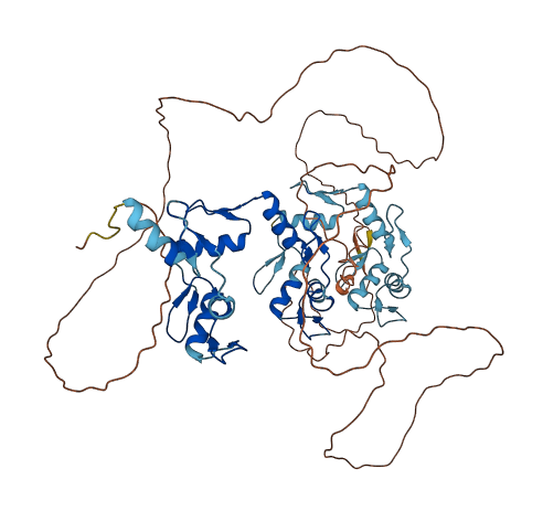 ZNF415 3D structure