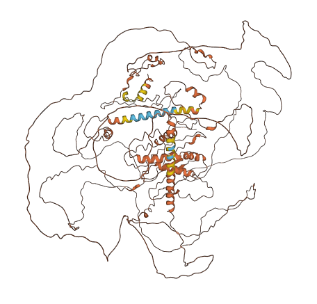 RAD51AP2 3D structure