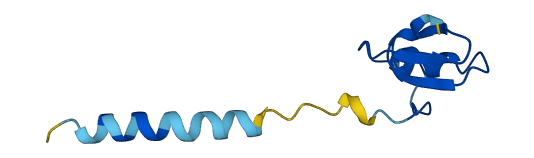 Spink11 3D structure