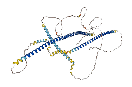 IFFO1 3D structure