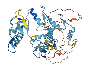 ZNF763 3D structure