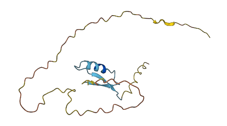 RIPPLY1 3D structure