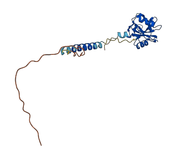 Clec2d11 3D structure