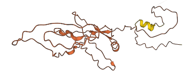 ZNF252P-AS1 3D structure