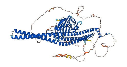 FCHO2 3D structure